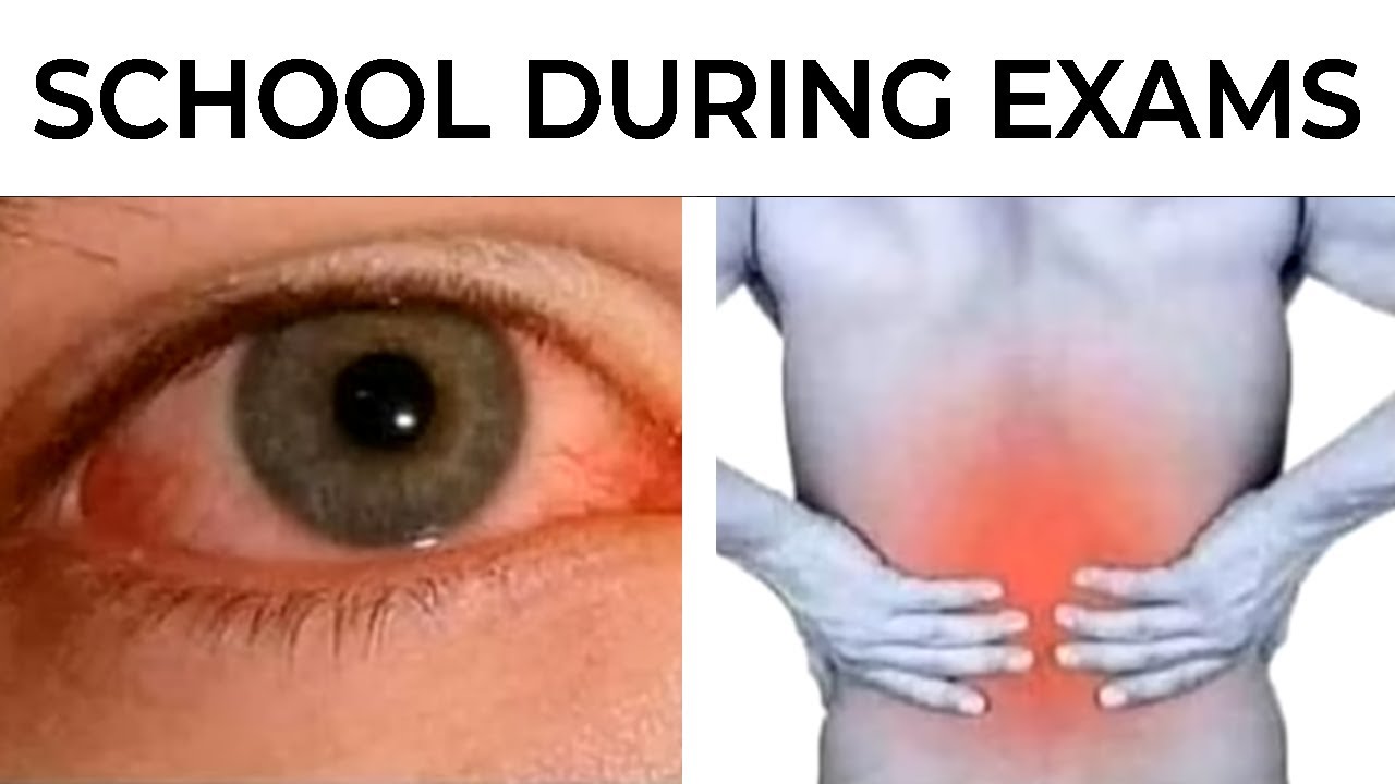 Memes Only Students Will Understand