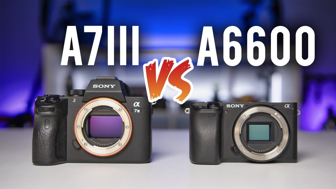 Sony a7iii против a6600 | Полный кадр или APS-C?