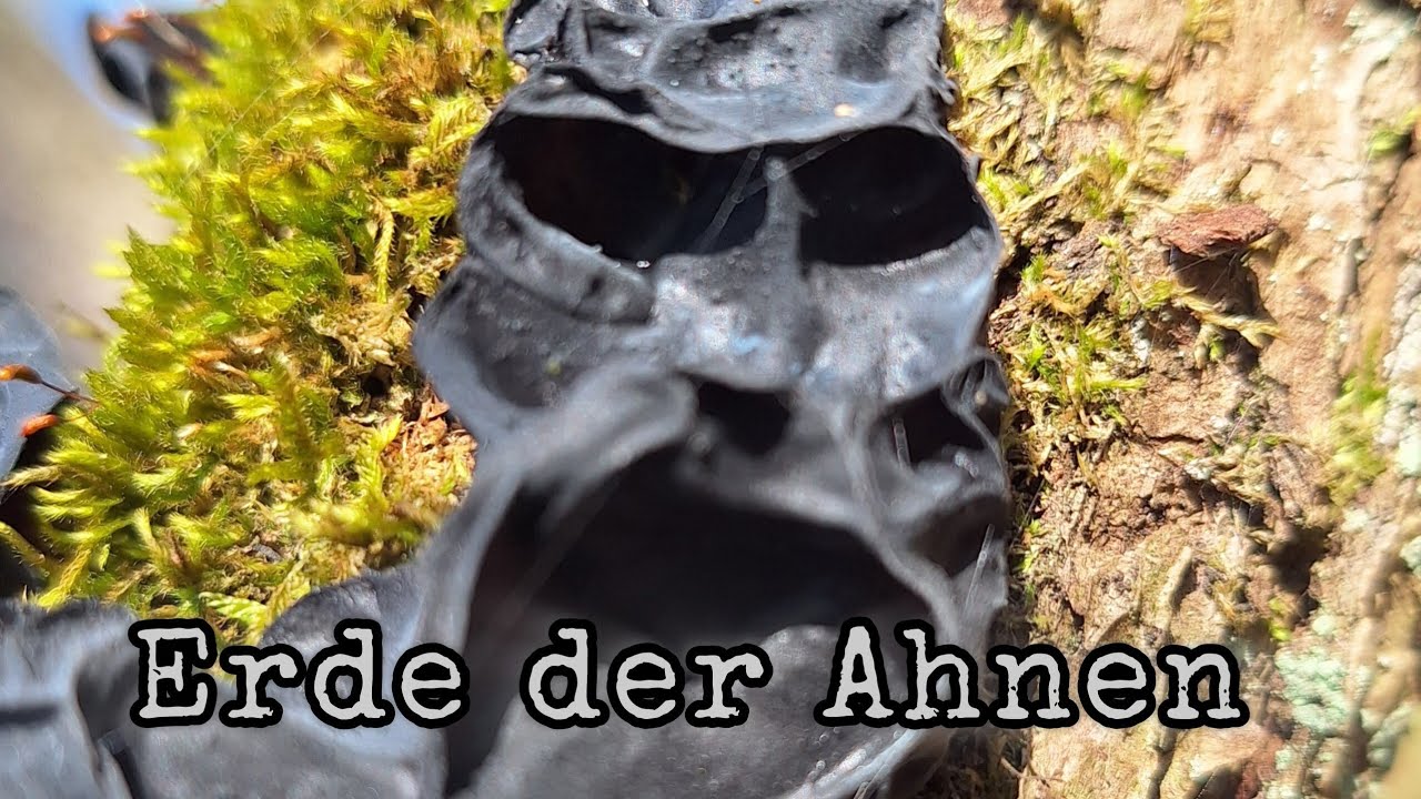 Erde der Ahnen
