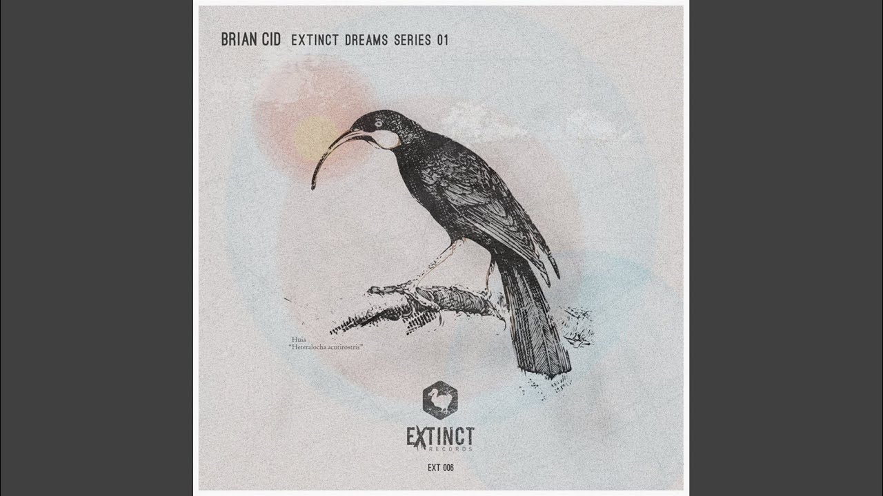 Allure (Original Mix)