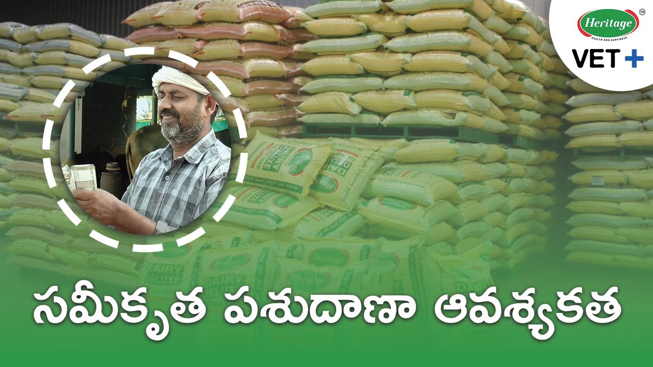 Benefits of Cattle Feed | సమీకృత పశుదాణా ఆవశ్యకత | Heritage Vet+ (Telugu - తెలుగు)