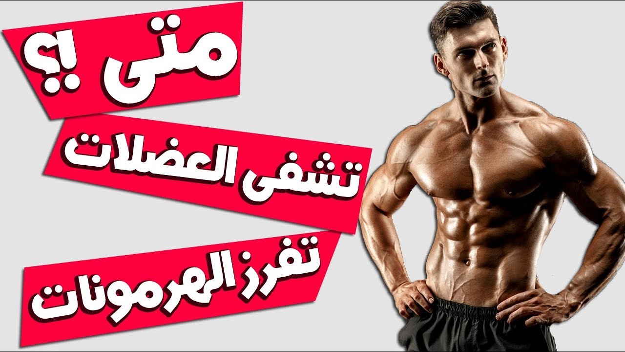 في أي مرحلة من النوم تشفى العضلات وتفرز أهم الهرمونات !؟