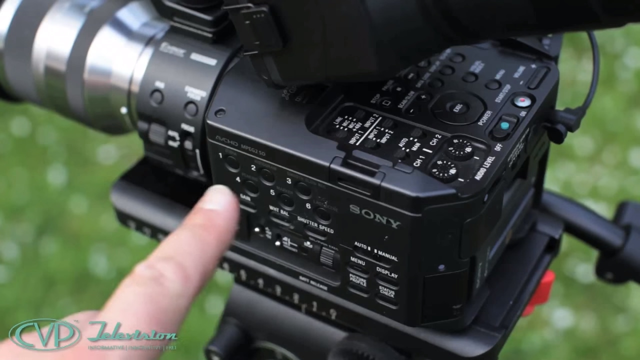 Sony NEX-FS100 Introductory preview / guide
