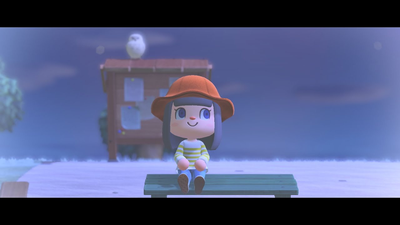 【日曜日 16:30】海の幸を捕まえにいくよよよ～ん #4 【#あつ森 】