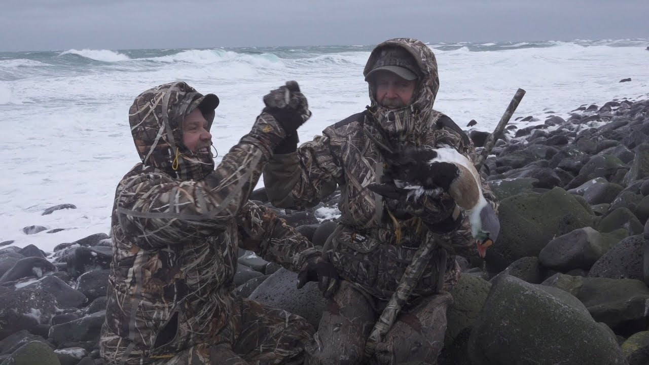 King Eiders in the Harsh Environment of Alaska's St. Paul Island — Browning Films Episode 5