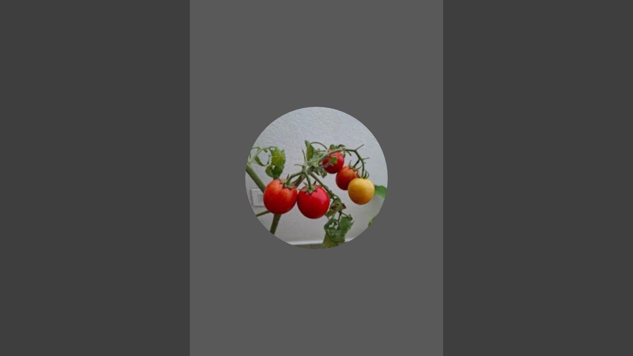 Vee's Garden  is live
