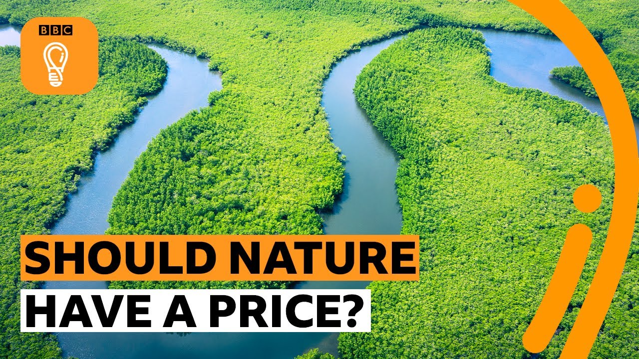 Is the Amazon worth more than Amazon? | BBC Ideas