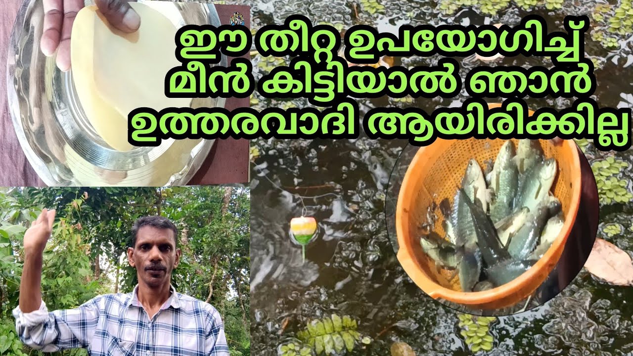 പപ്പടം കൊണ്ട് ഒരു അടിപൊളി തീറ്റ/Pappda Fishing Feed/Kerala Hook Fishing/Fishing/@SATHEERTHYAARTS