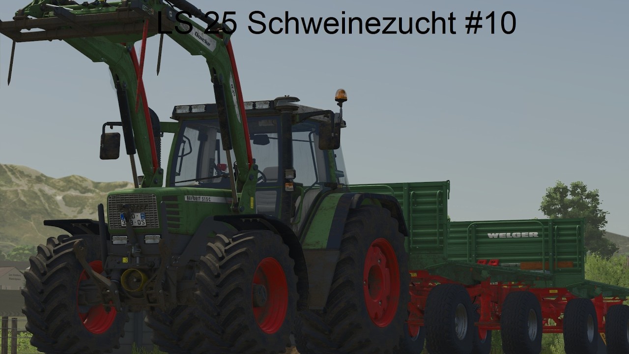 Ernte ende und Stroh Ballen Verkauf LS 25 Schweinezucht #10