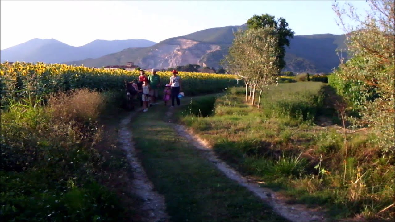 Escursioni con bambini in Toscana hiking trekking Pisa