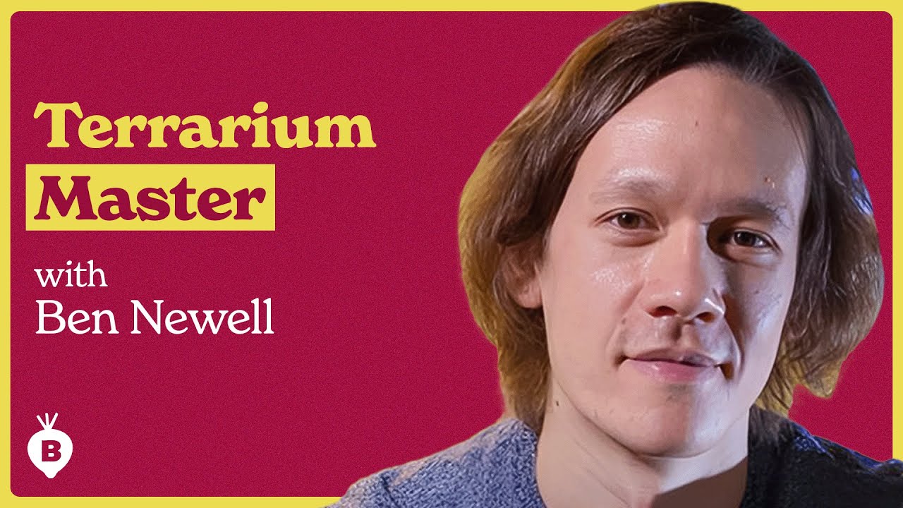 Building A World In A Box with Ben Newell | The Beet