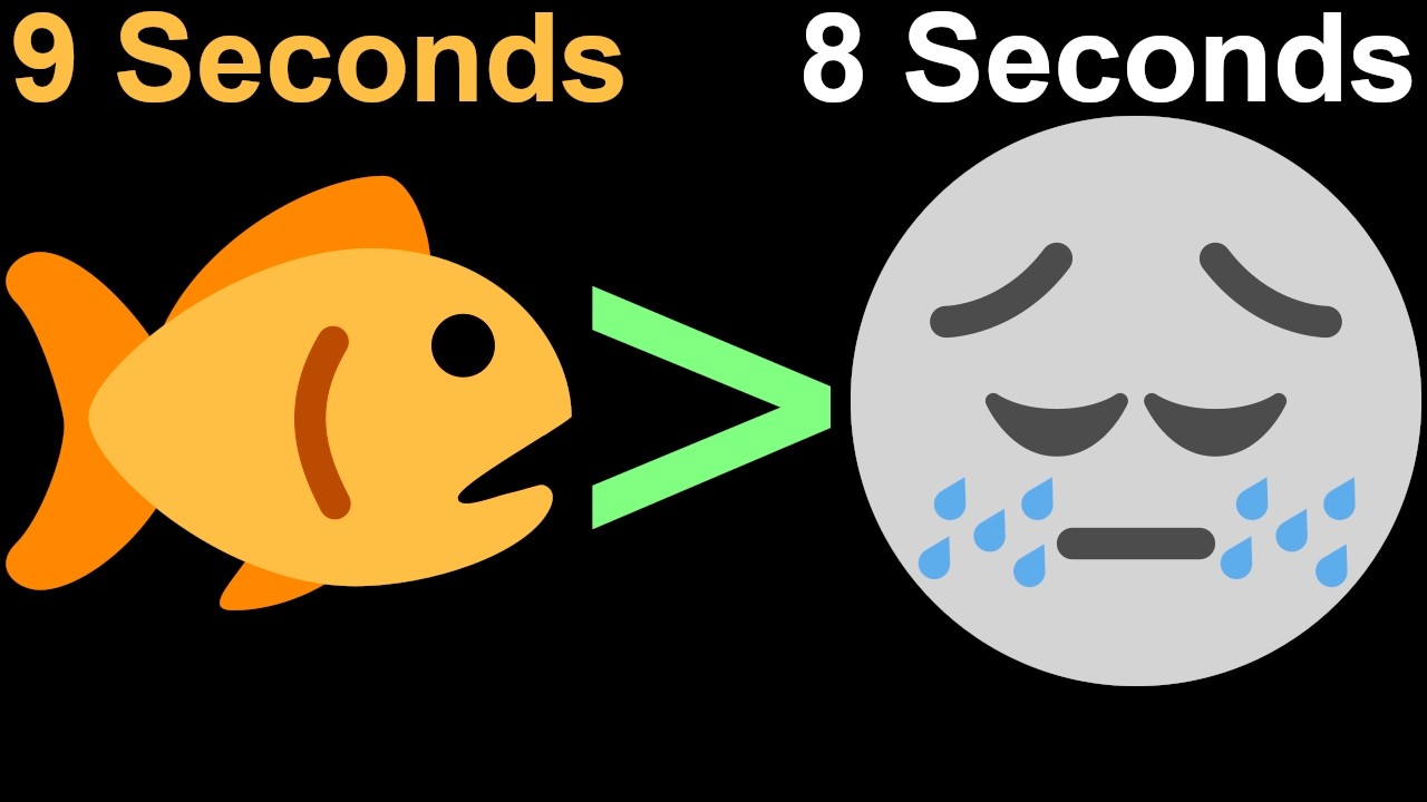 Losing to a Goldfish