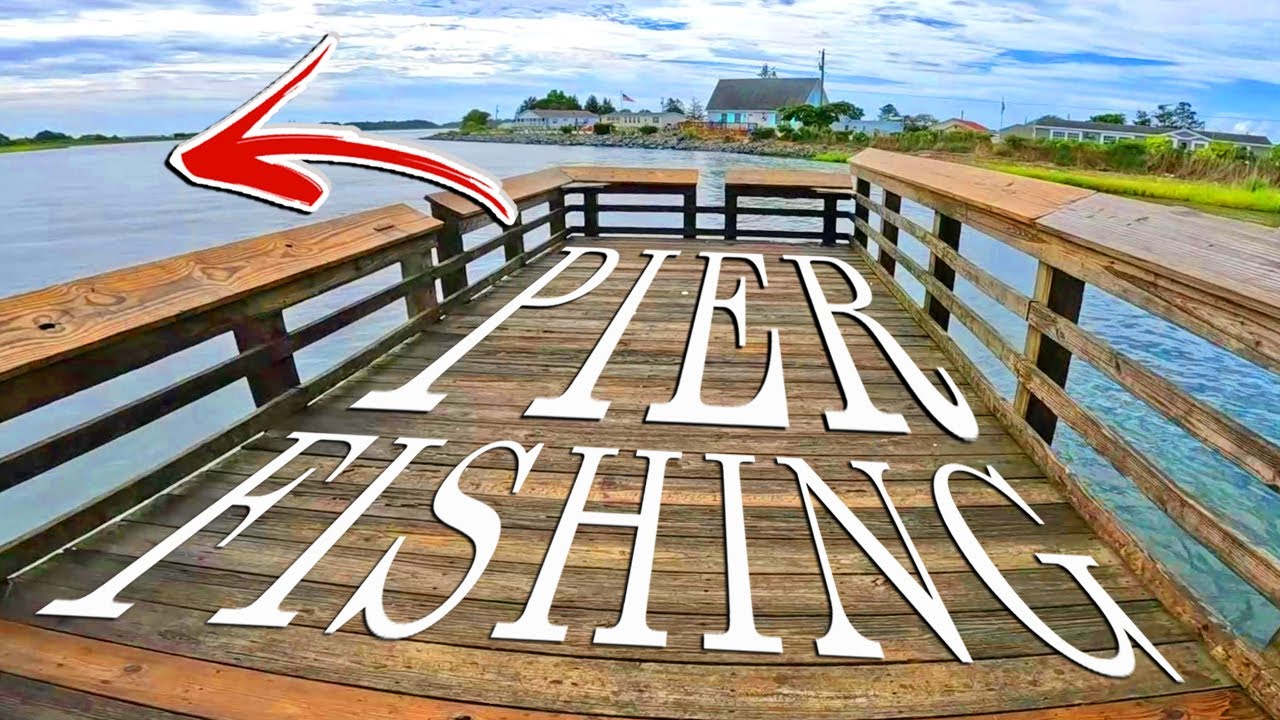 Saltwater Pier Fishing at Massey's Landing (SURPRISE CATCH !!)