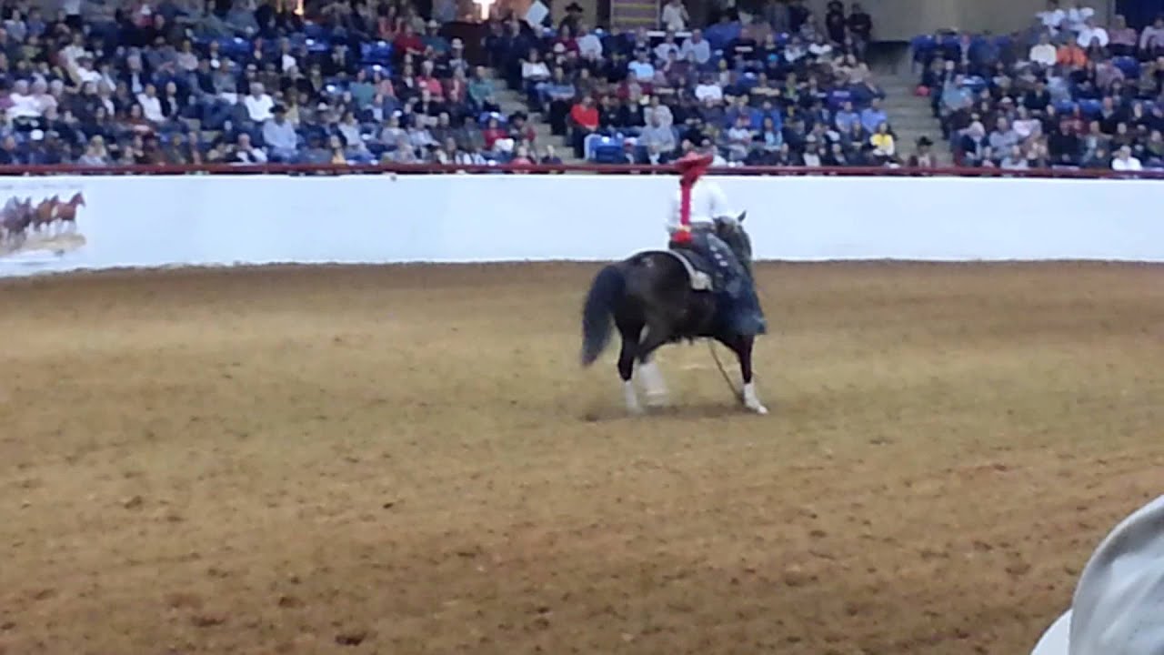 Mustang Magic Fort Worth Stock Show 2015