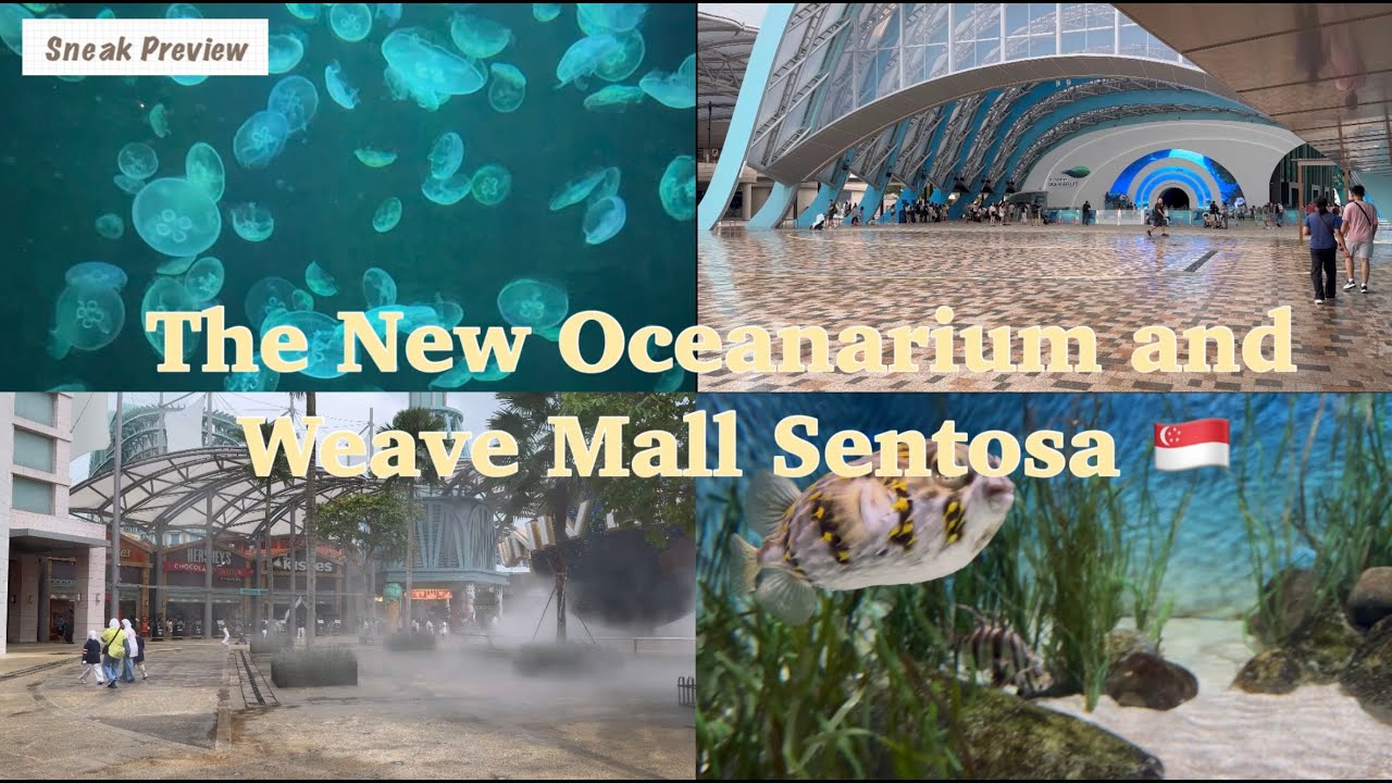 Visiting The New Oceanarium Singapore | Quick Dinner at Weave Mall @iamxuele #dailyvlog #lifestyle