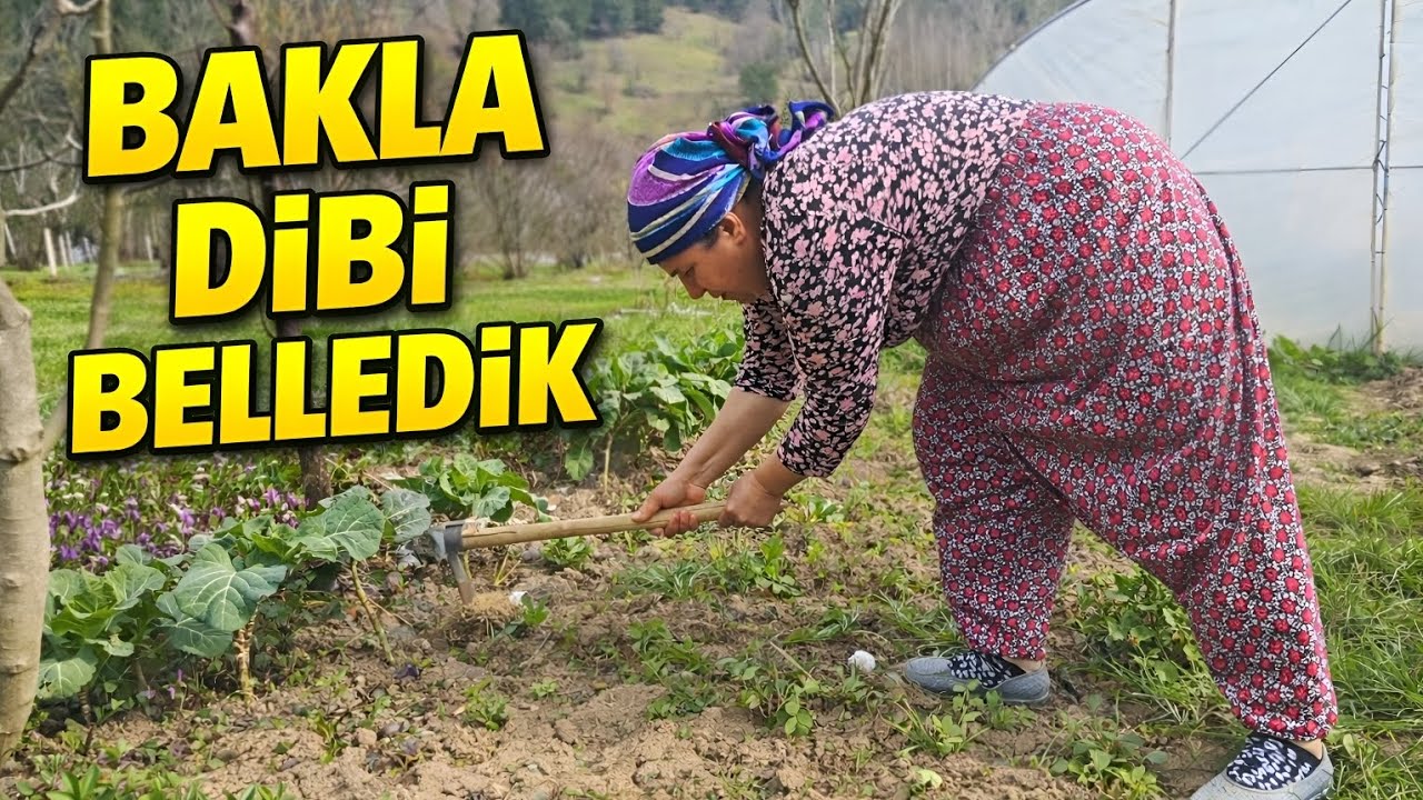 Annemle Köyde Bakla Dibi Belledik | Bahçe İşleri Vlog
