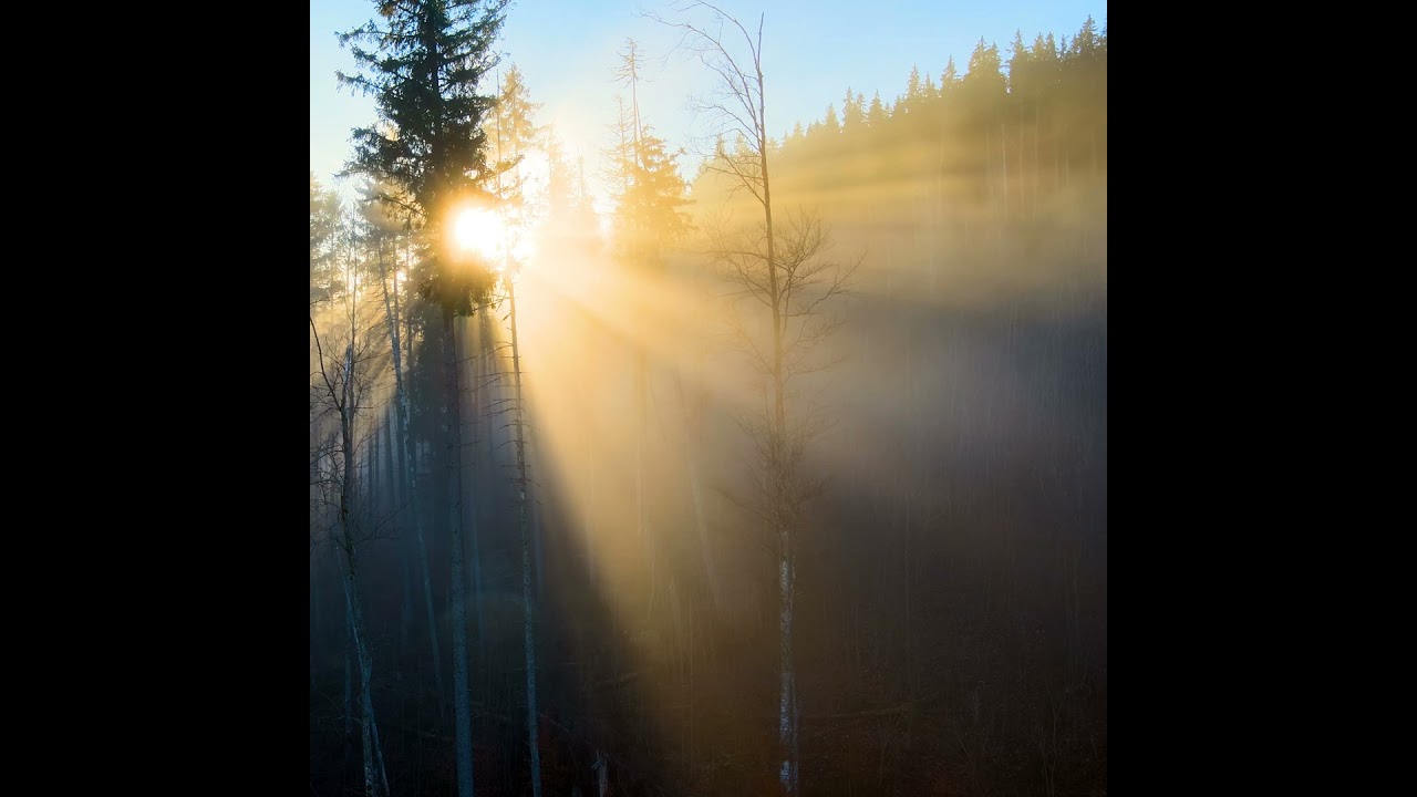 Jesus, Dein Licht