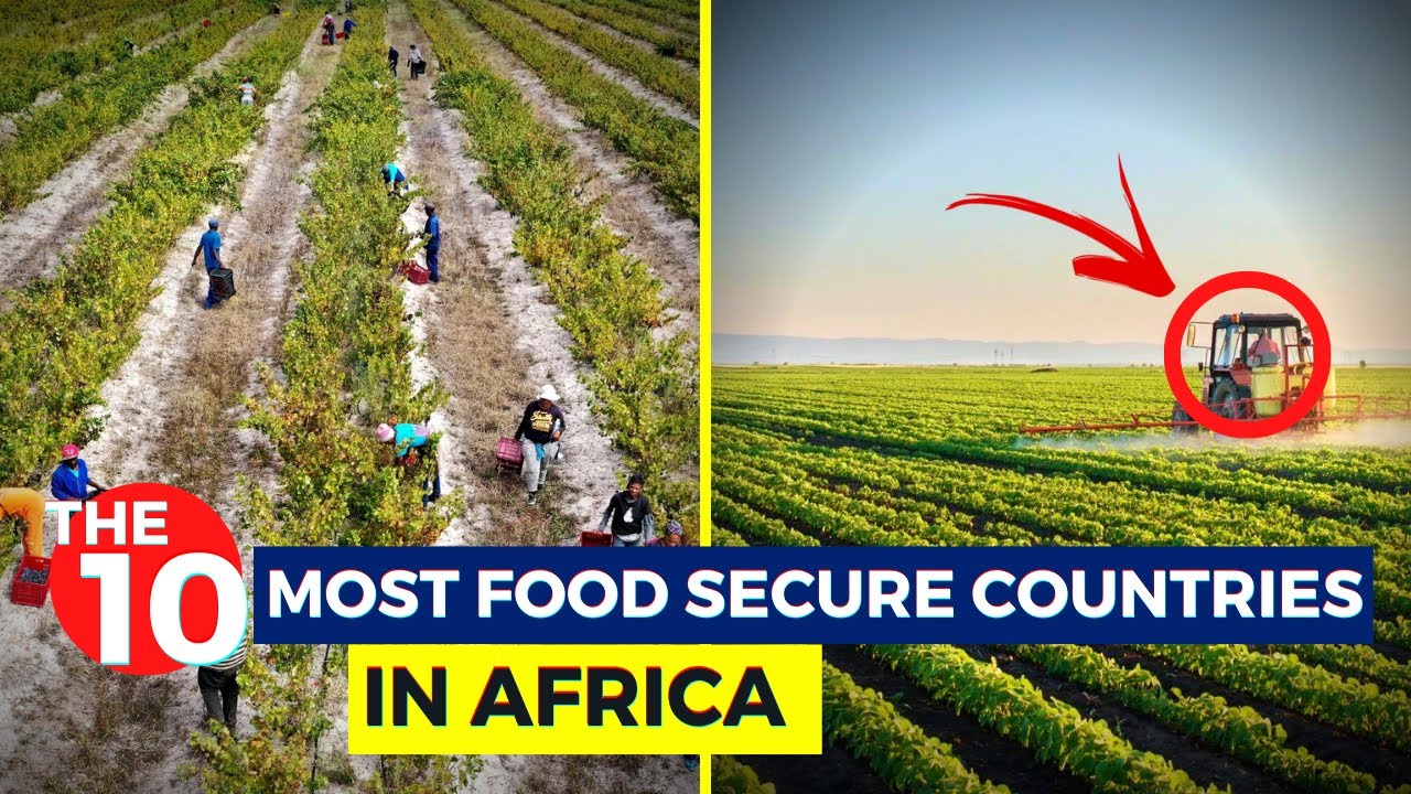 The 10 Most FOOD-SECURE Countries In Africa 2022...