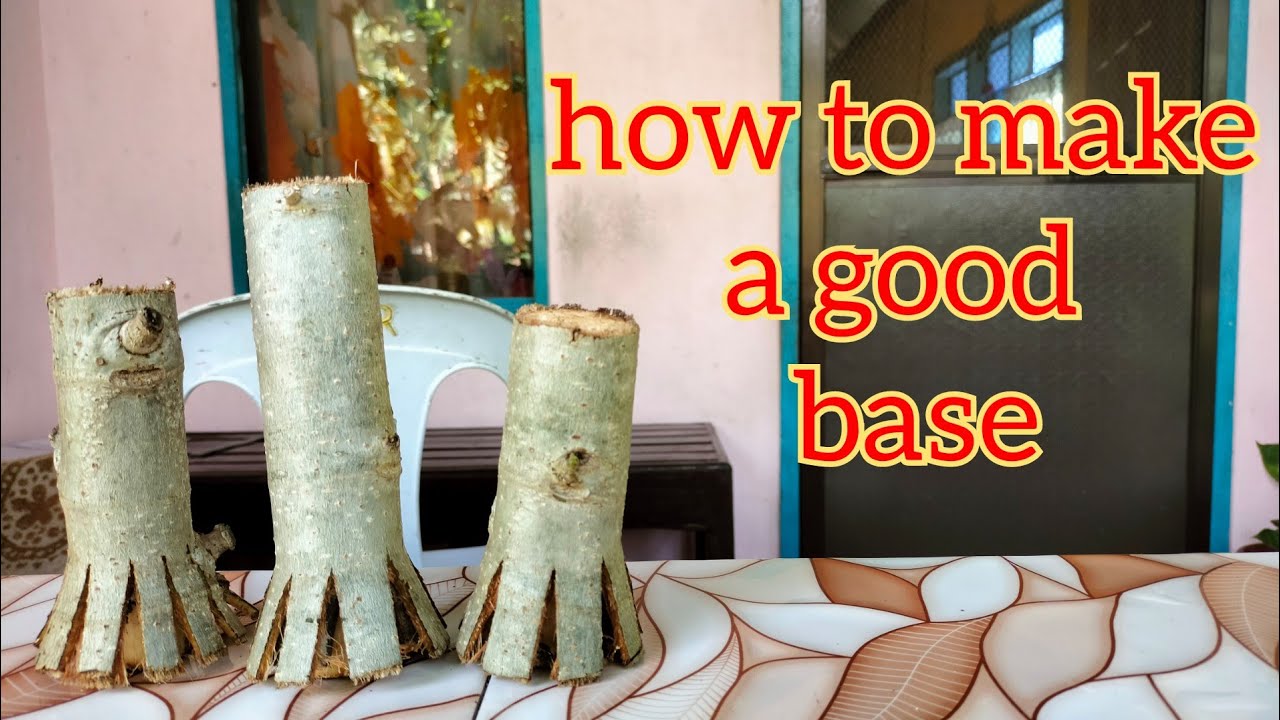 HOW TO MAKE WIDE BASE FOR CUTTINGS | HIBISCUS TAIWAN BONSAI
