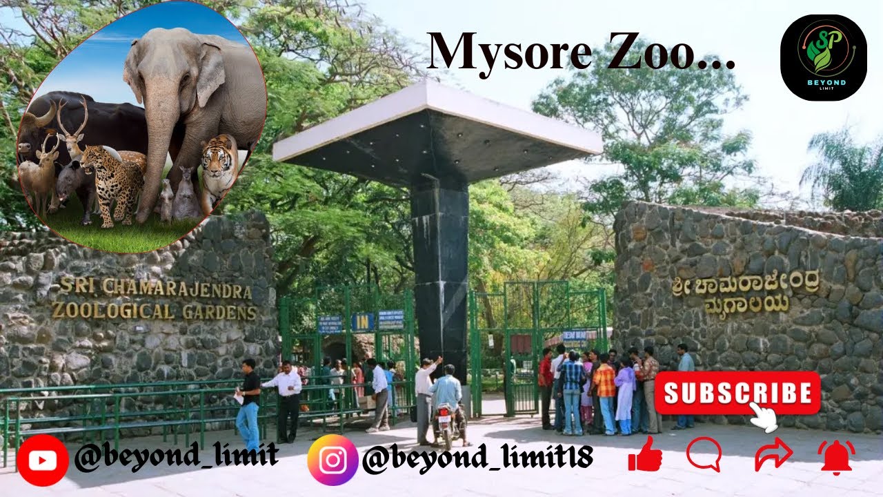 Exploring Mysore Zoo 🐯🦓 | A Day with Nature&rsquo;s Beauty & Wildlife Wonders