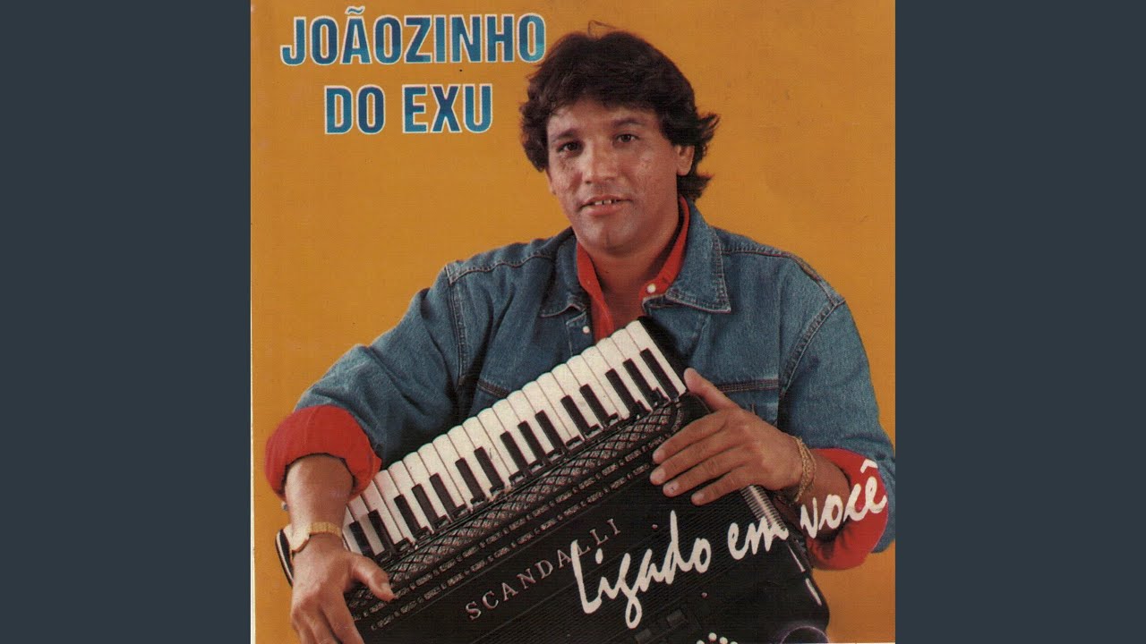 Menino Bicho