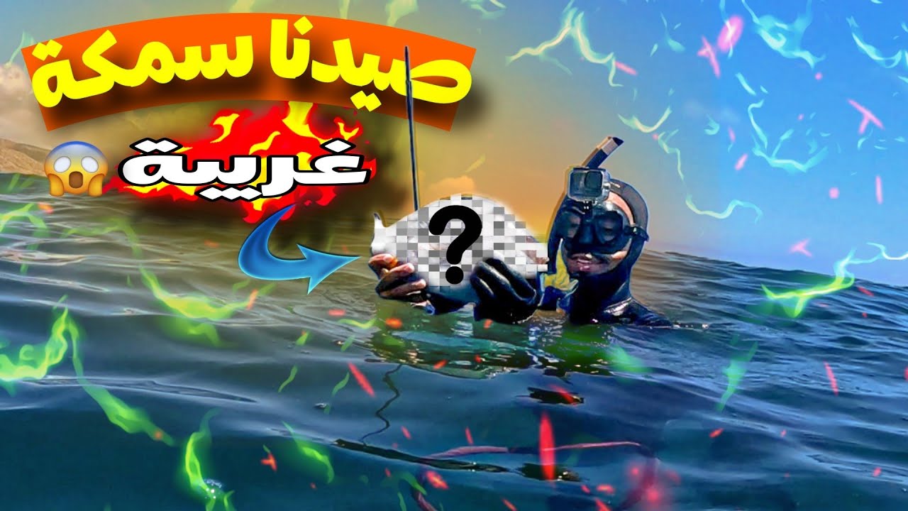 رحلة صيد في الأعماق🤿 تنتهي باصطياد سمكة ما عمري شفت بحالها!😱🐠
