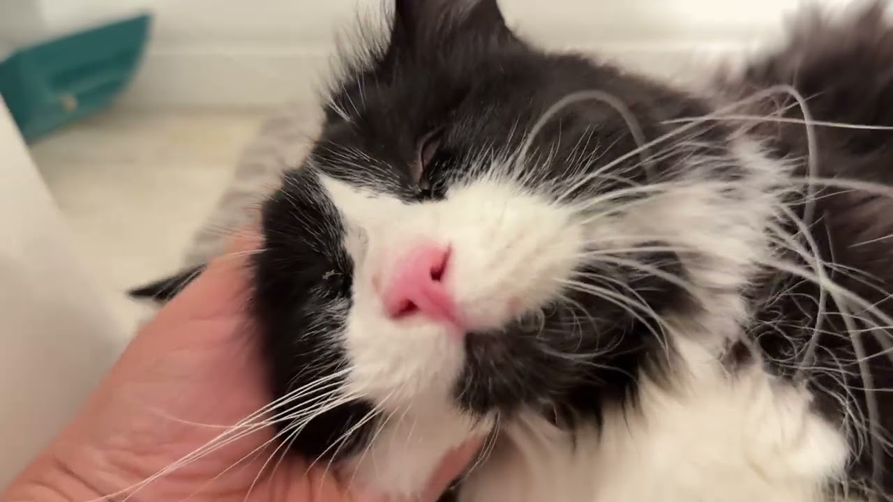 ASMR with Slim after a long day