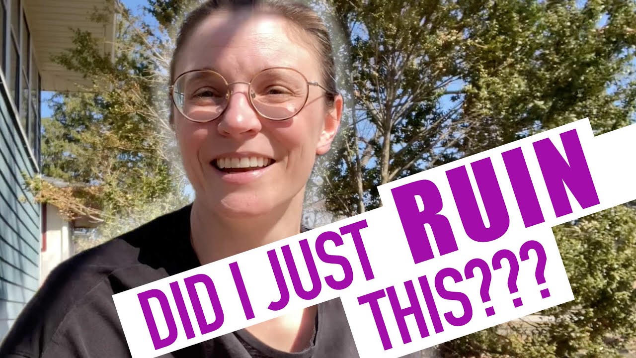 I Pruned This Overgrown Boxwood Back HARD...Did I Ruin It?