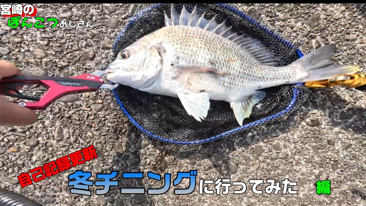【釣り】冬チヌ　ボトムチニングに行ってみた
