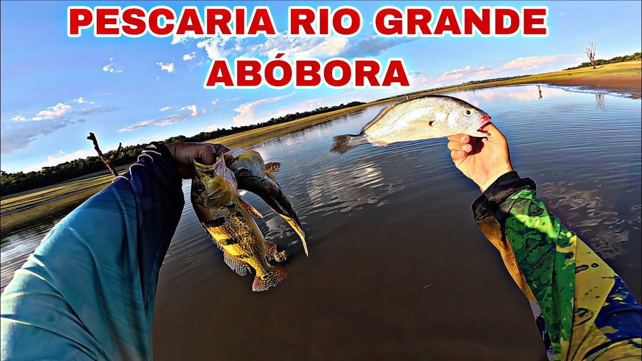 PESCARIA NO AB&Oacute;BORA RIO GRANDE EM IC&Eacute;M! PORQUINHO TUCUNAR&Eacute; E CORVINA