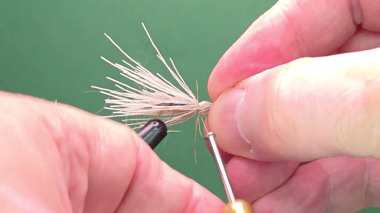 Squirrel Hopper - One Fly A Day