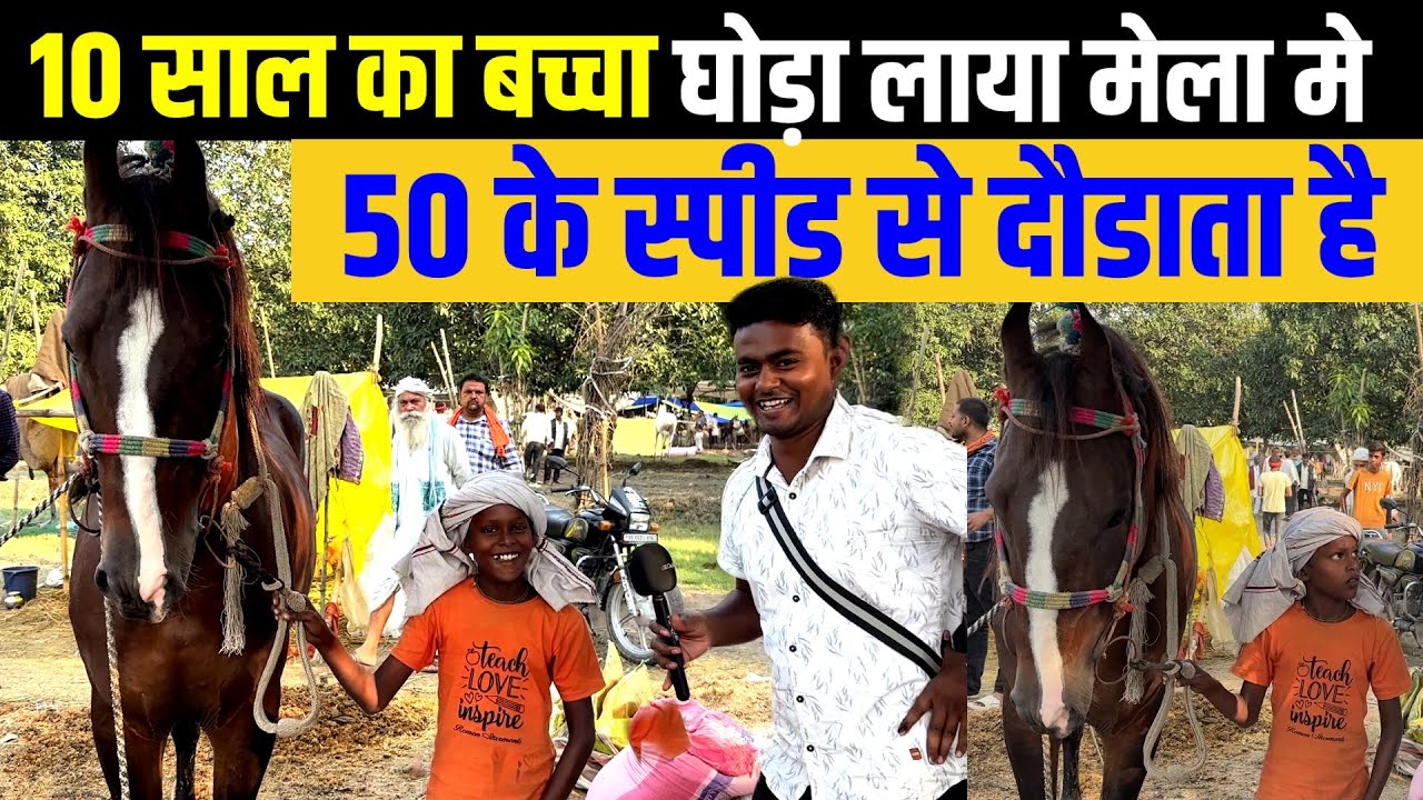 10 साल का बच्चा घोड लाया सोनपुर मेला मे, 50 के स्पीड से दौडाता है | Sonpur mela 2025 | ghoda bazar 