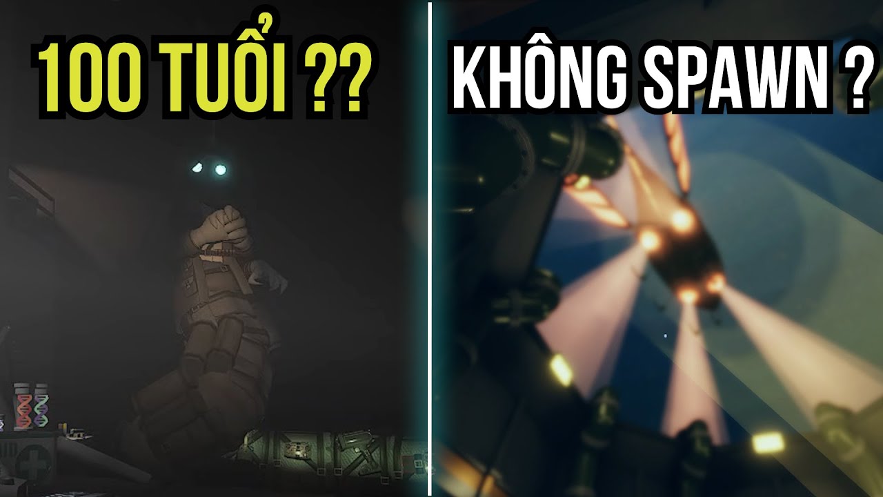 NHỮNG SỰ THẬT VÔ DỤNG 