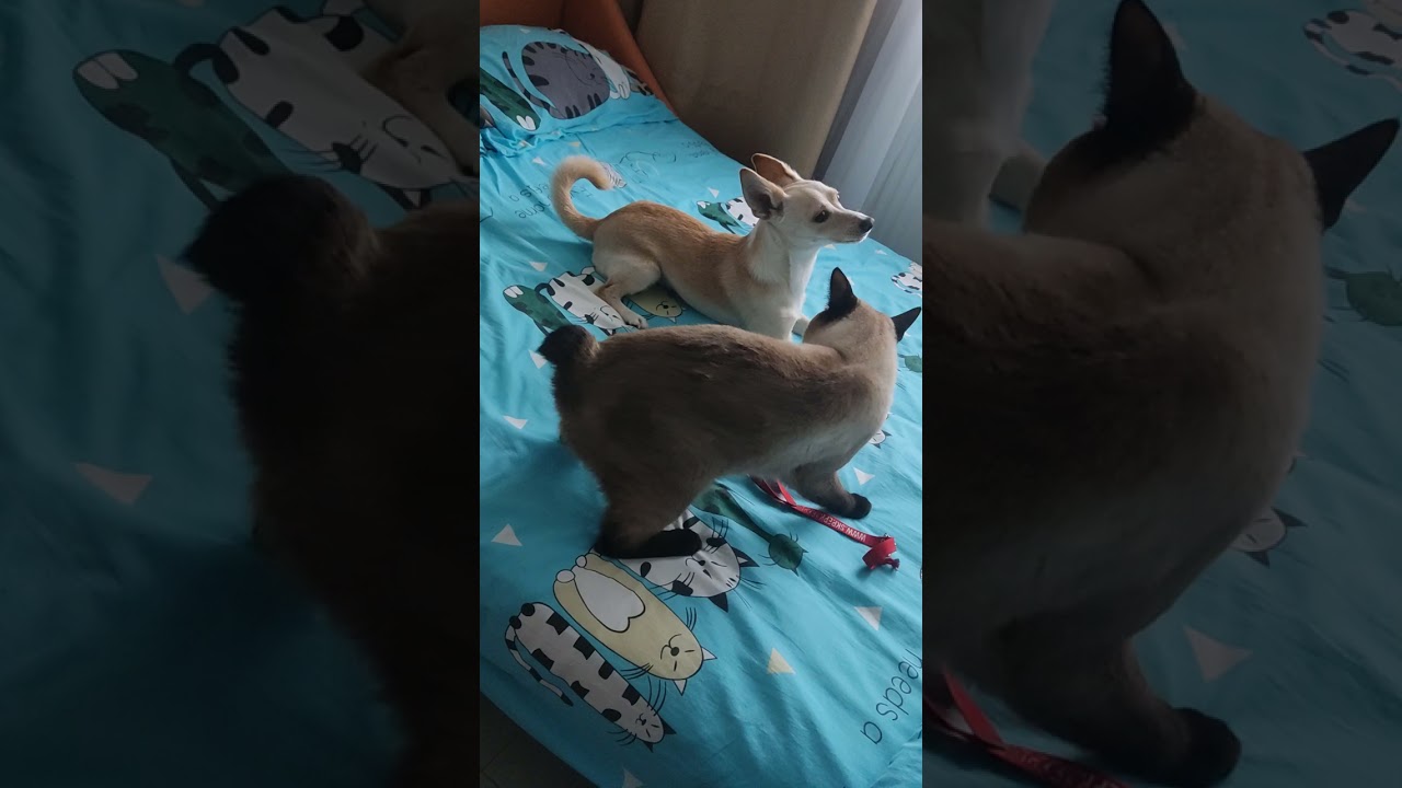 12 октября 2024 г.