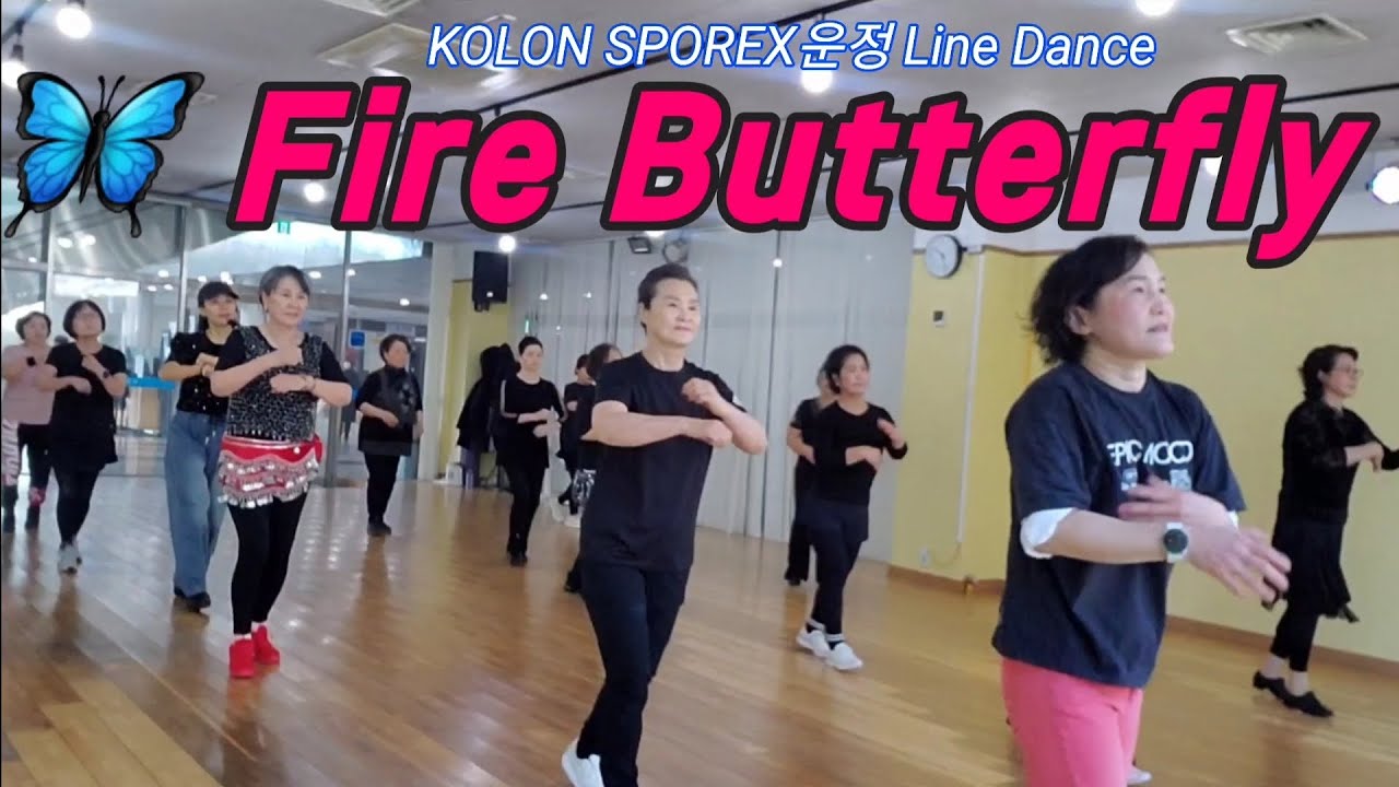 Fire Butterfly Line Dance / Beginner / #코오롱스포렉스운정점#라인댄스초급반#시니어건강#linedance#불나비라인댄스#운정시니어라인댄스#운정라인댄스