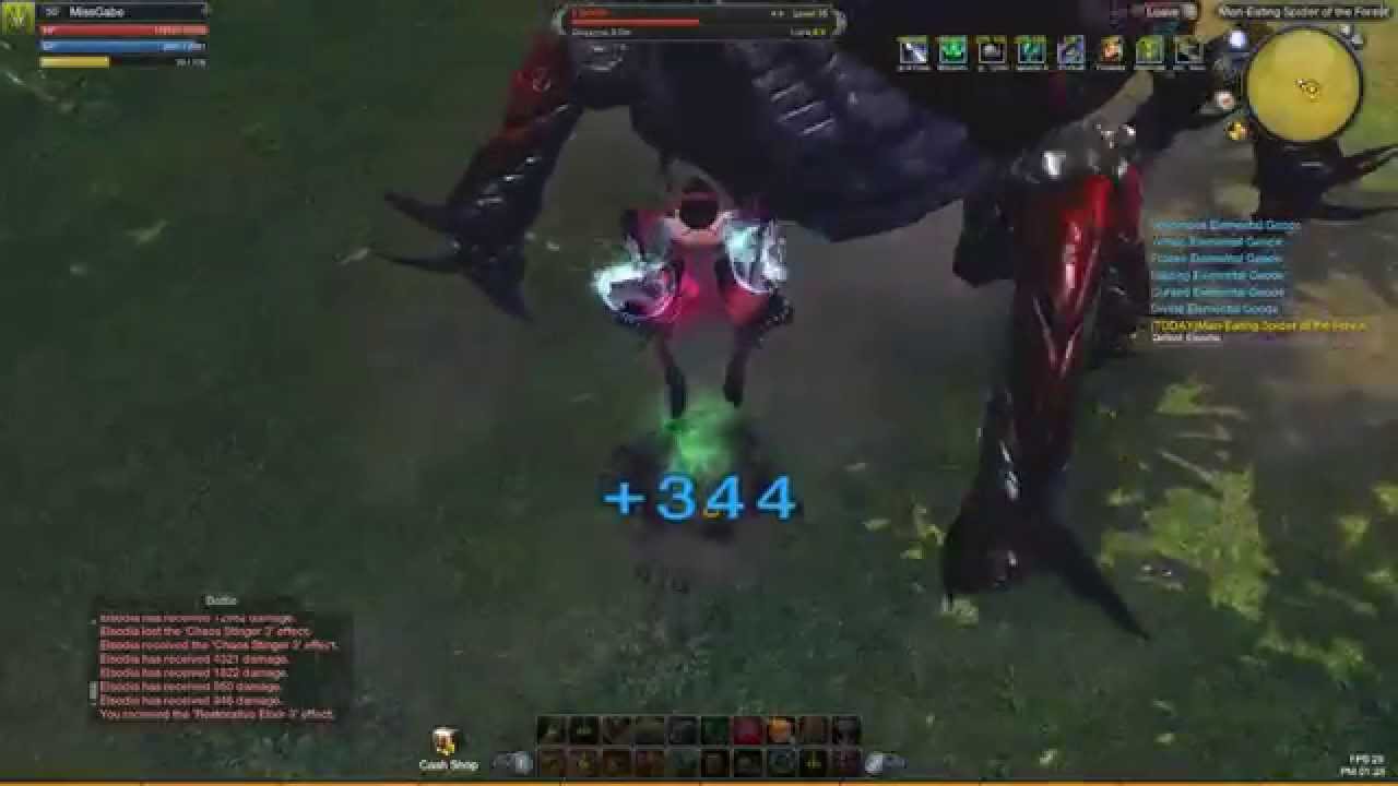 WildRaiderz MissGabe (assassin) vs Elsodia HH class 1