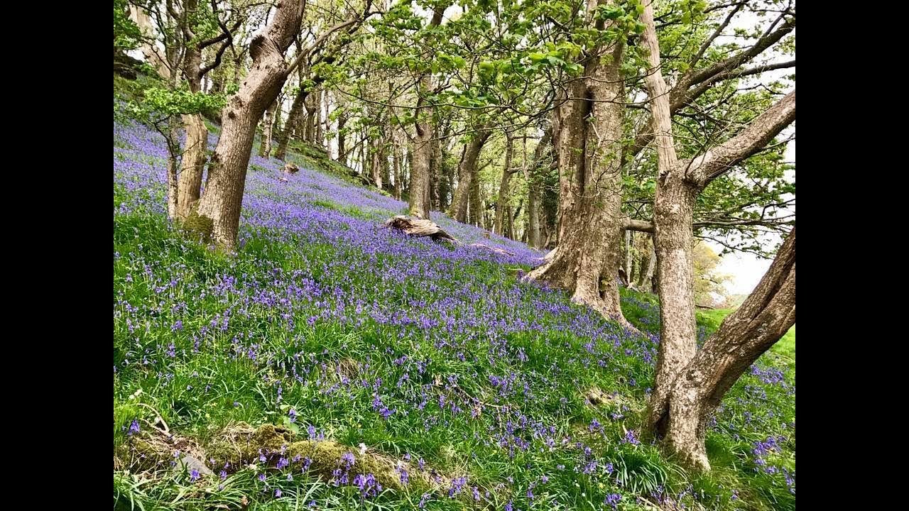Machynlleth