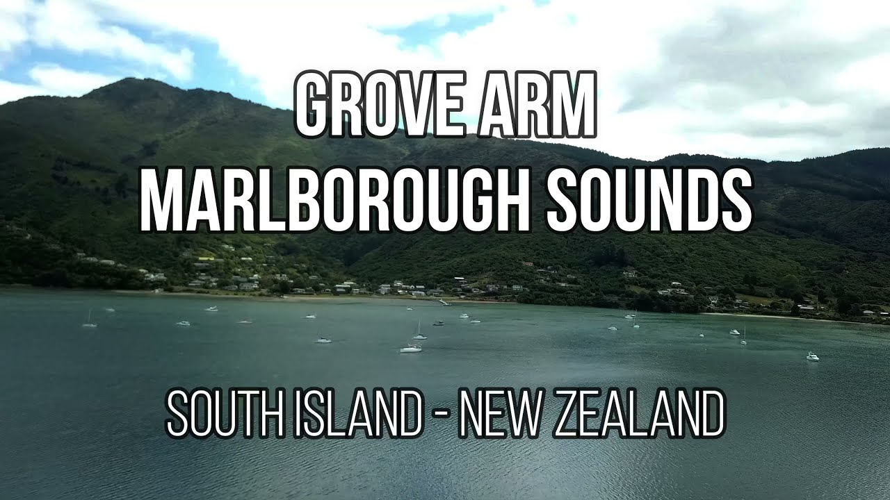 Grove Arm - Marlborough Sounds - South Island - New Zealand