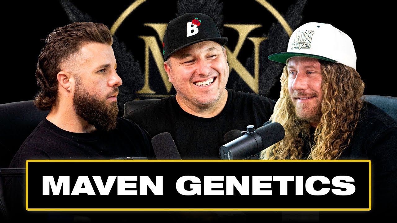 Maven Genetics: Collaborating with Graffiti Artists, Creating Unique Strains, Building a Legacy