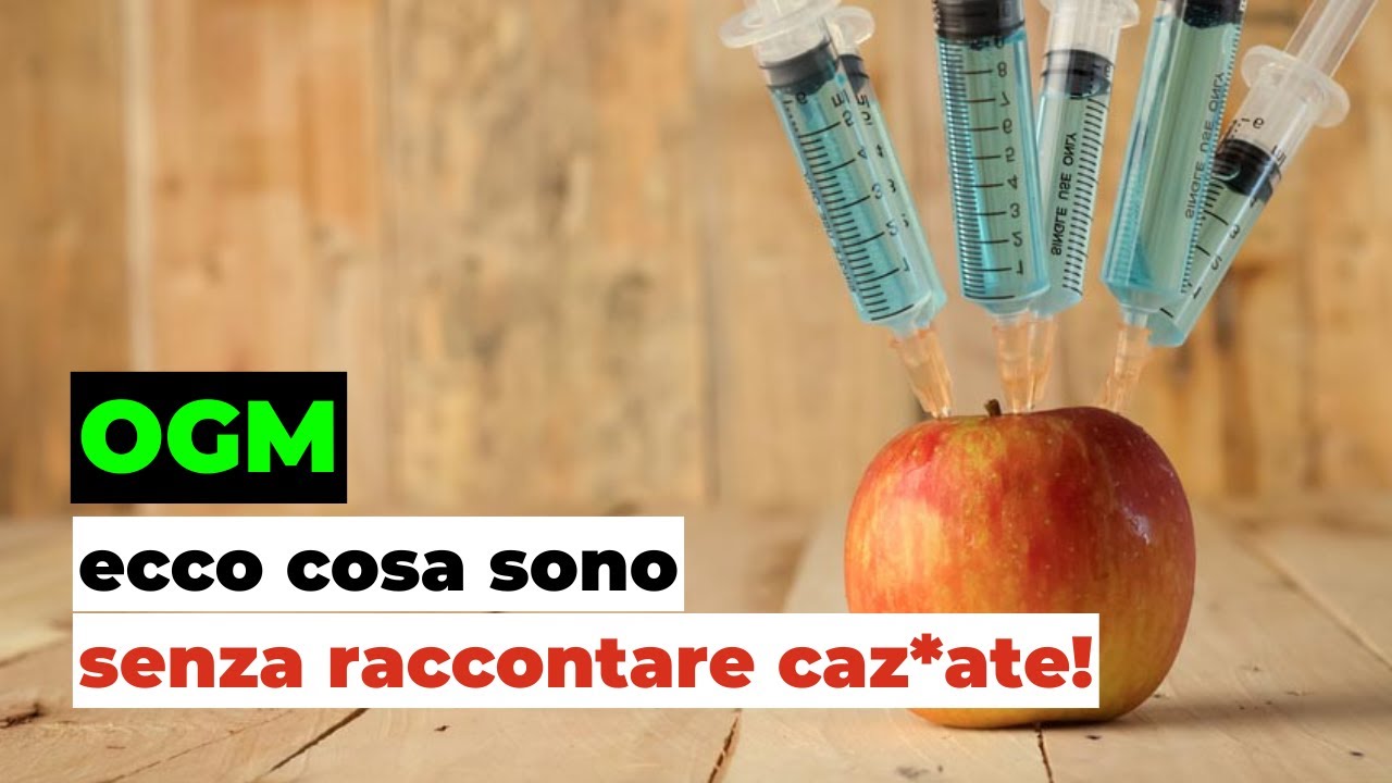Cosa sono gli OMG? Caratteristiche, rischi e bufale