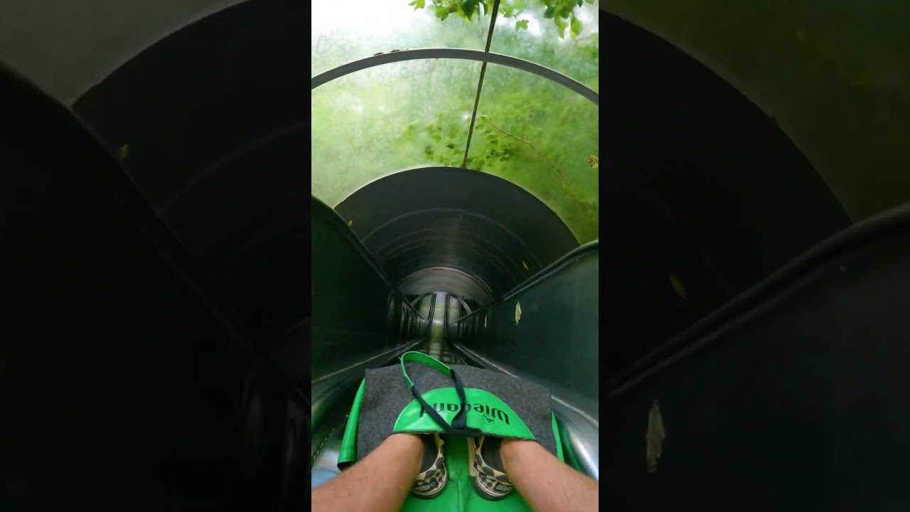 12m hohe Freifall-Rutsche im Eifelpark Gondorf 😏 #shorts #rutsche #freizeitpark