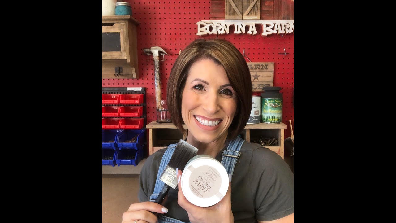 Amy Howard One Step Paint Review