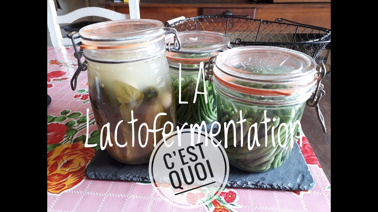 La LACTOFERMENTATION - Méthode et conserves de Haricots verts