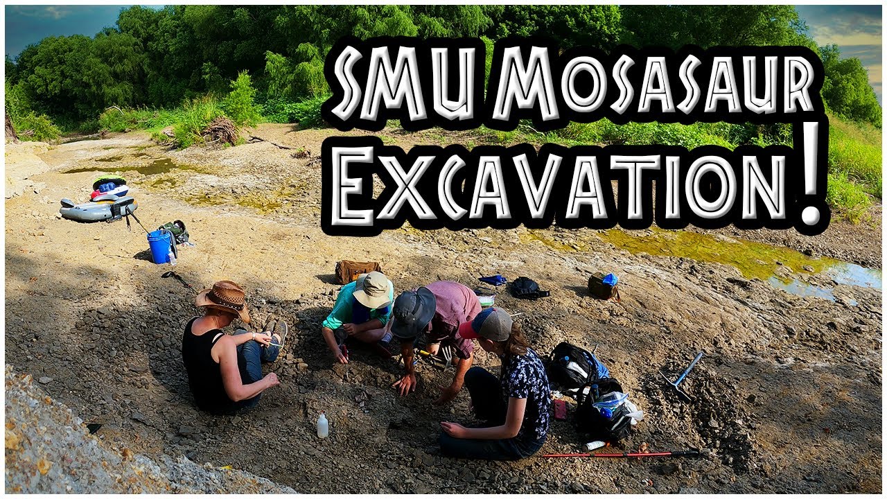 SMU Mosasaur Excavation! 🦖