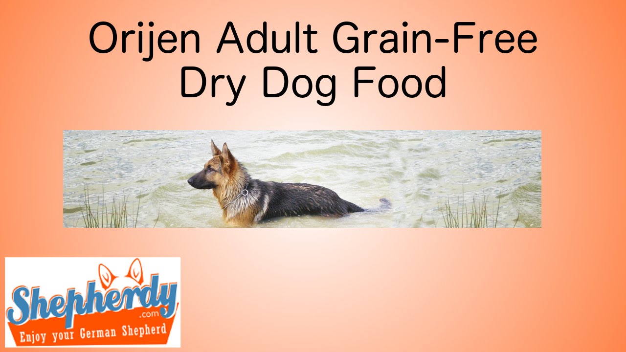 Orijen adult grain-free dry dog food