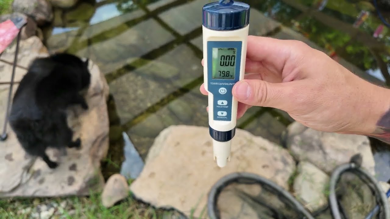 Don't know the exact volume of your pond? Use this trick!