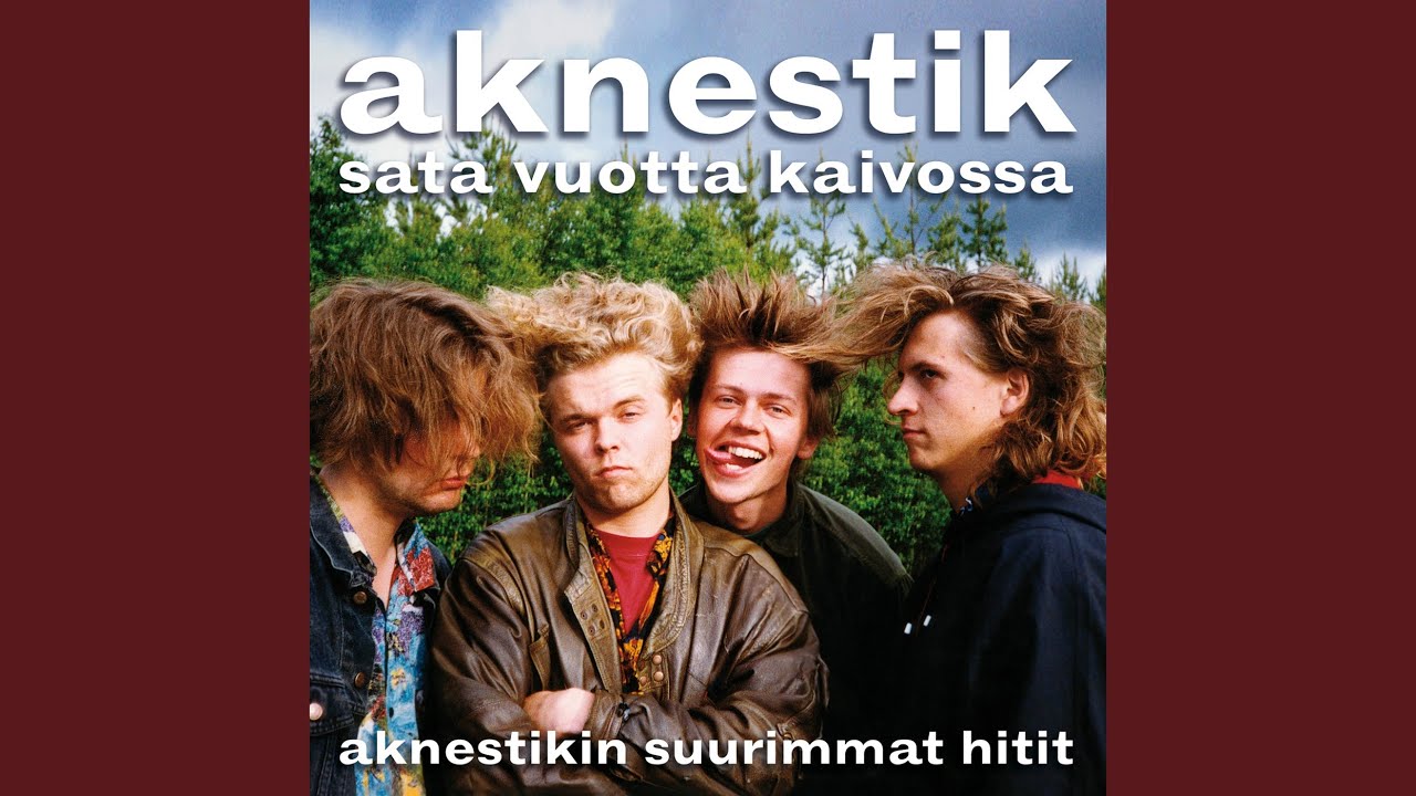 Haukipudas