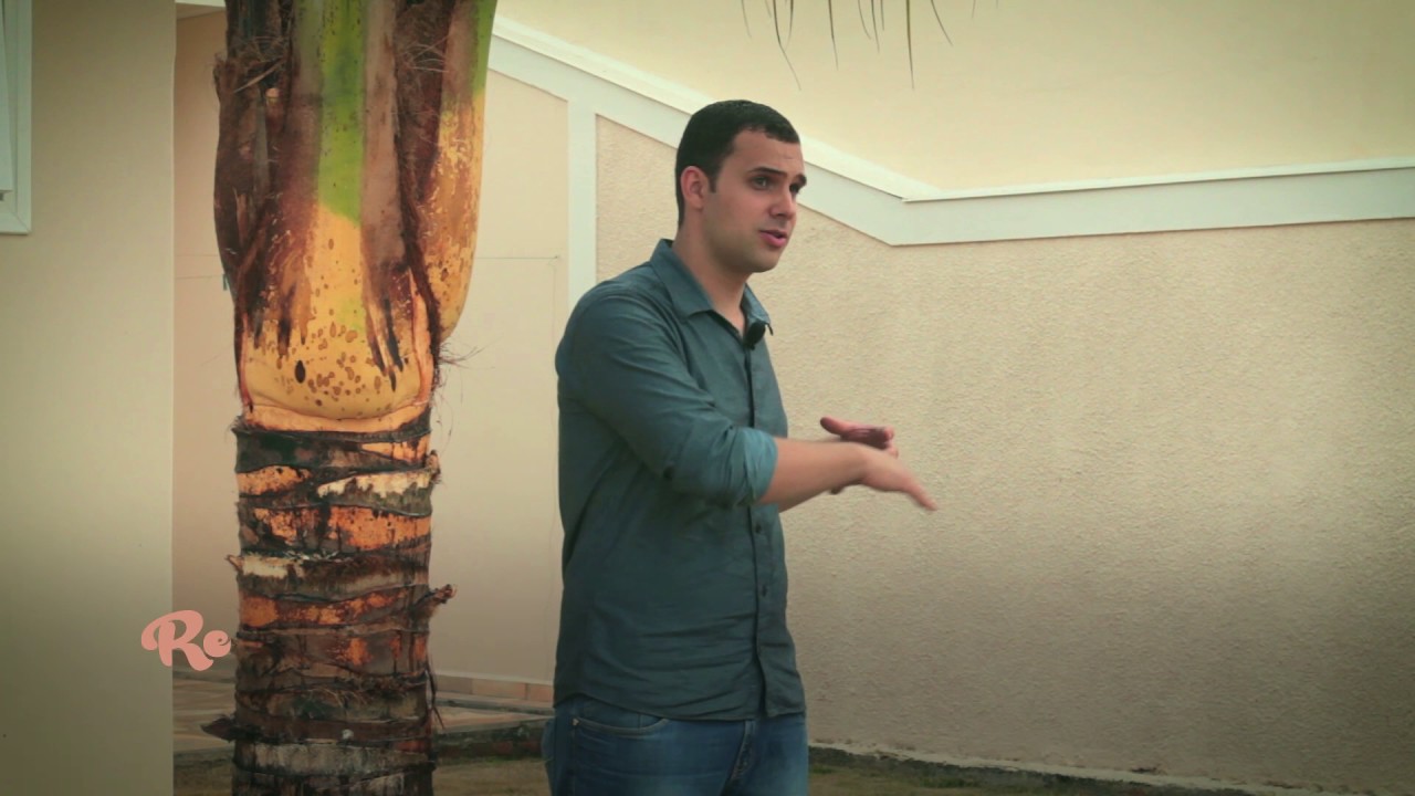 Como realizar a adubação do coqueiro