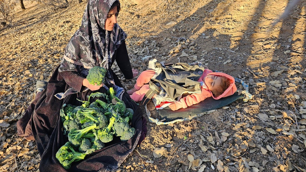 Over the Shoulders of the Zagros: In Search of Celery Yilmaz and His Mother