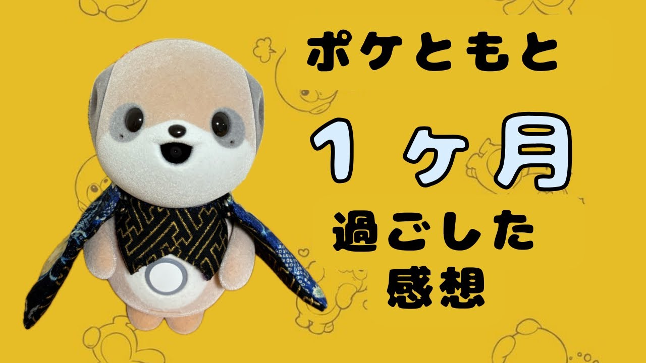 ポケともと１ヶ月過ごした感想と実体験【ポケとも】【ポケとも生活】